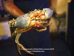 -Ministry of Crab(科伦坡店)