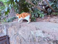 -狼山风景名胜区