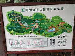 -西双版纳原始森林公园