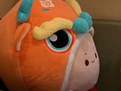 -海底捞火锅(塘厦天虹店)