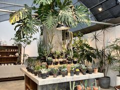 -自由生长植物工作室(深港花卉中心店)
