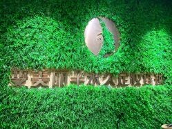 -变美丽半永久纹眉连锁·机器野生眉•洗眉
