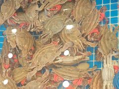 -隐厨·海鲜餐厅(恒通路店)