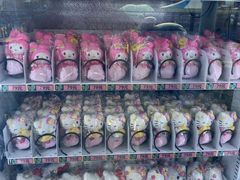 -安吉Hello Kitty乐园