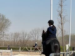 -北京群众马术培训基地