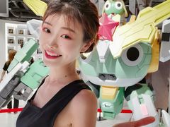 -秋叶原电器街