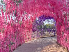 -歌斐颂巧克力小镇