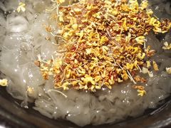 -芸山季·云南山珍菌火锅(人民广场来福士店)