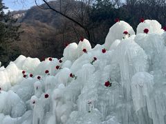 -秦岭终南山世界地质公园翠华山景区