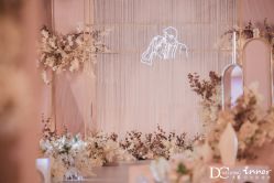 -DC大蔡婚礼策划(李公堤店)