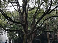 -浙江大学(玉泉校区)