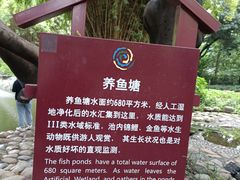 -成都市活水公园