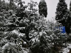 -九峰山