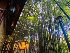 -竹海听涛生态山庄