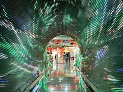 -正佳自然科学博物馆