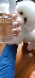 -美兮美学·日式美甲美睫