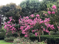 -杭州城北体育公园