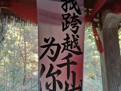 -黄山翡翠谷景区