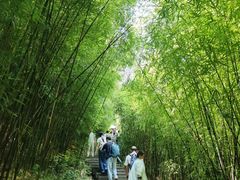 -神龙峡风景区