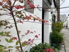 -青果巷历史文化街区