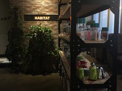 -栖巢咖啡(天鹅湖万达低碳店)