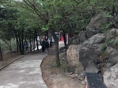 -白水寺森林公园