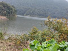 -广州市石门国家森林公园
