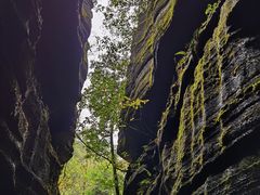 -梭布垭石林景区