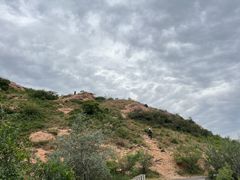 -红山国家森林公园