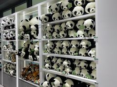 -宁波野生动物园