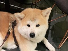 -BOCATA 西班牙餐厅(三里屯店)