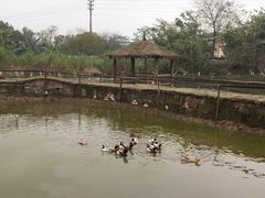 -驿舍·民國老营房院子私房菜(科学会堂店)