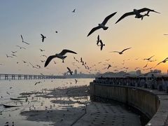 -星海广场
