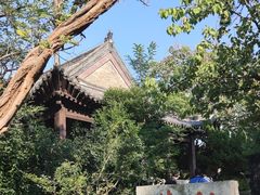 -云龙山