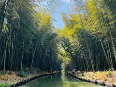-同里国家湿地公园