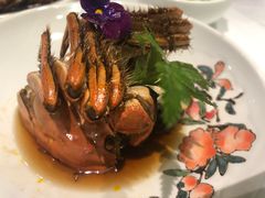 -蝶园·装修中(BFC外滩金融中心店)