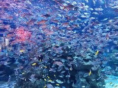 -成都浩海立方海洋公园