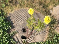 -白鹭湾湿地公园