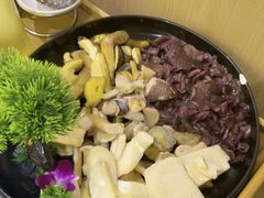 -一朵菌·野生菌探索家火锅(南亚店)
