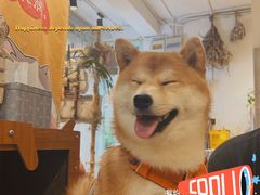 -小时光咖啡馆(北锣鼓巷店)