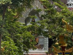 -西双版纳总佛寺