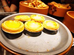 -龍歌自助小火锅(城阳万象汇店)