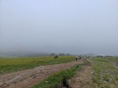 -灵山