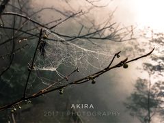 -东天目山风景区