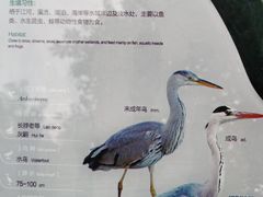 -海珠湖公园