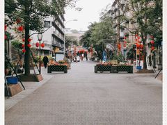 -泡桐树街