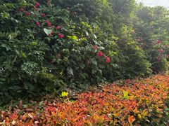-张公山寨景区