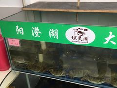 -阳澄湖大闸蟹·琼灵阁牌品牌连锁(吴中总店)