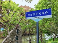 -南汇桃花村