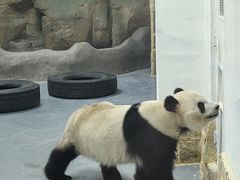 -无锡动物园·太湖欢乐园